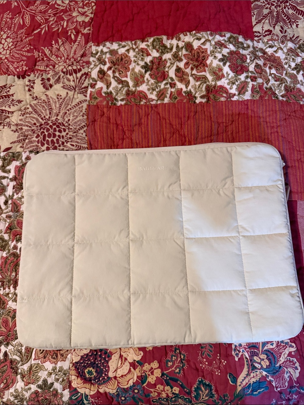 Bagsmart Laptop case